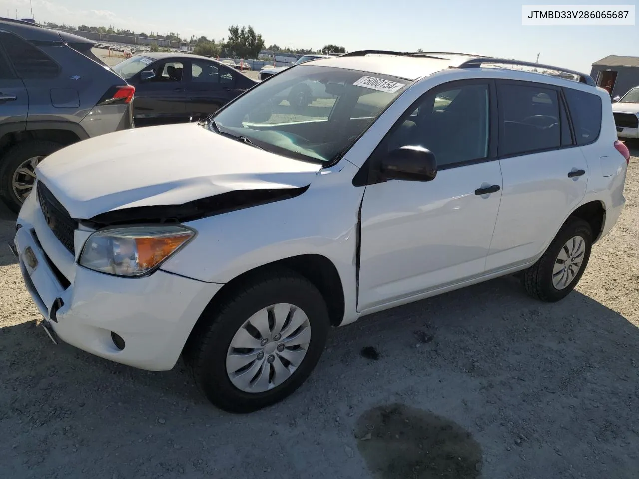 2008 Toyota Rav4 VIN: JTMBD33V286065687 Lot: 75060154