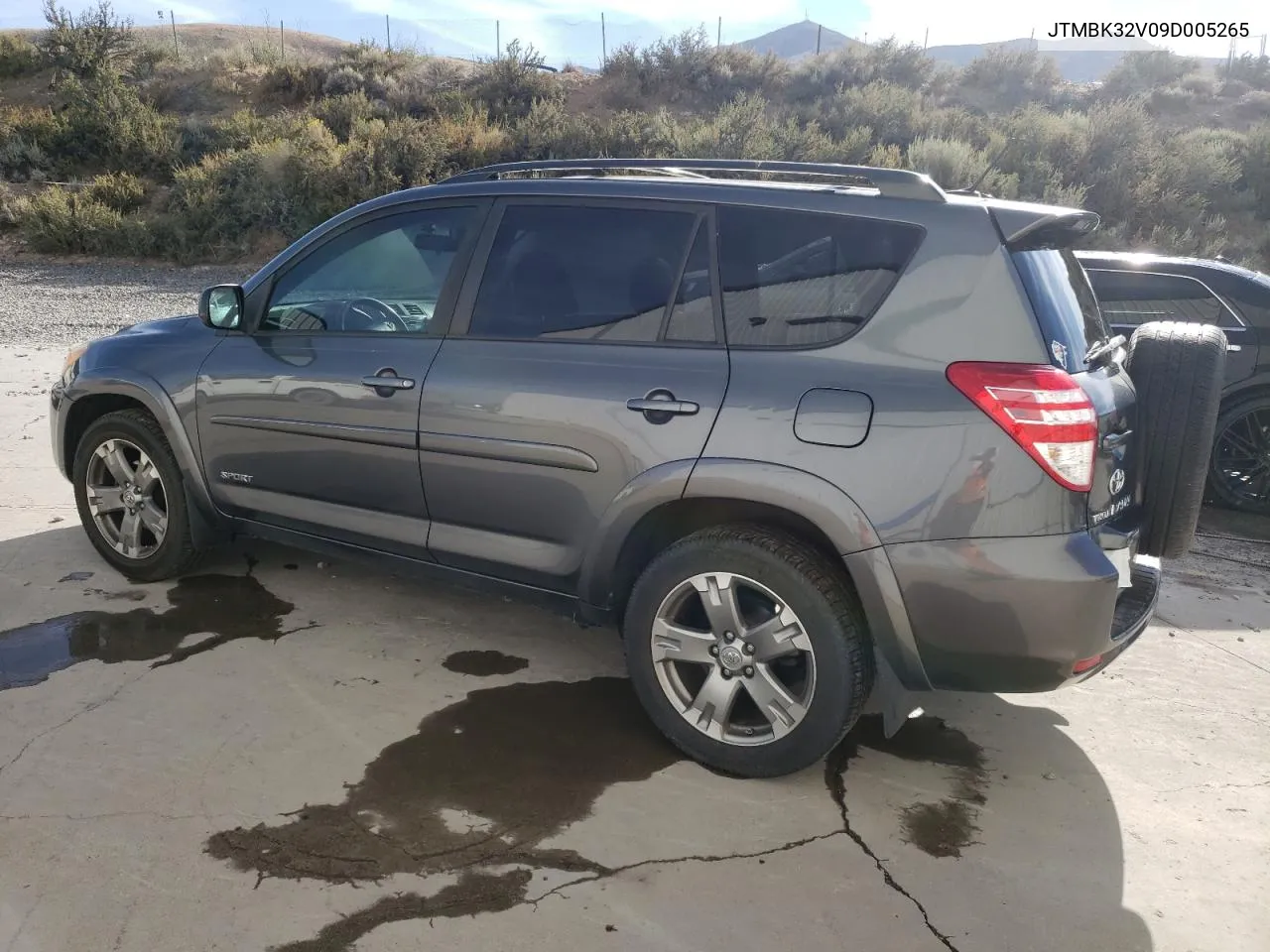 2009 Toyota Rav4 Sport VIN: JTMBK32V09D005265 Lot: 69867874