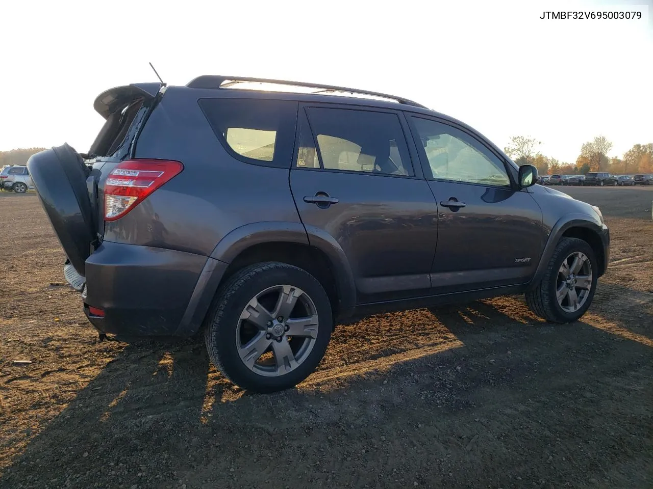 2009 Toyota Rav4 Sport VIN: JTMBF32V695003079 Lot: 78426064