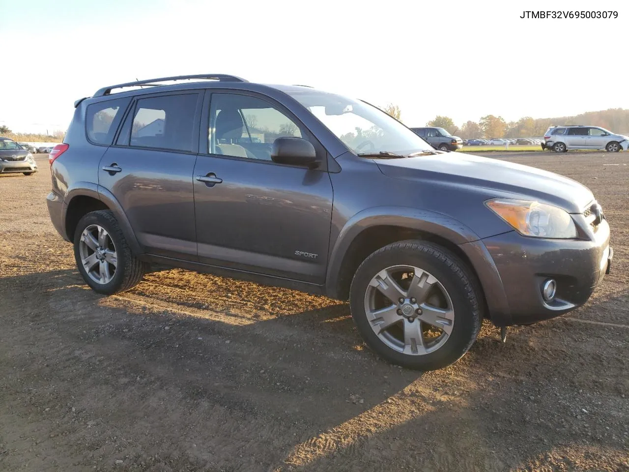 2009 Toyota Rav4 Sport VIN: JTMBF32V695003079 Lot: 78426064