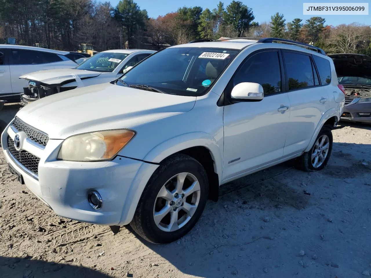 2009 Toyota Rav4 Limited VIN: JTMBF31V395006099 Lot: 80022104