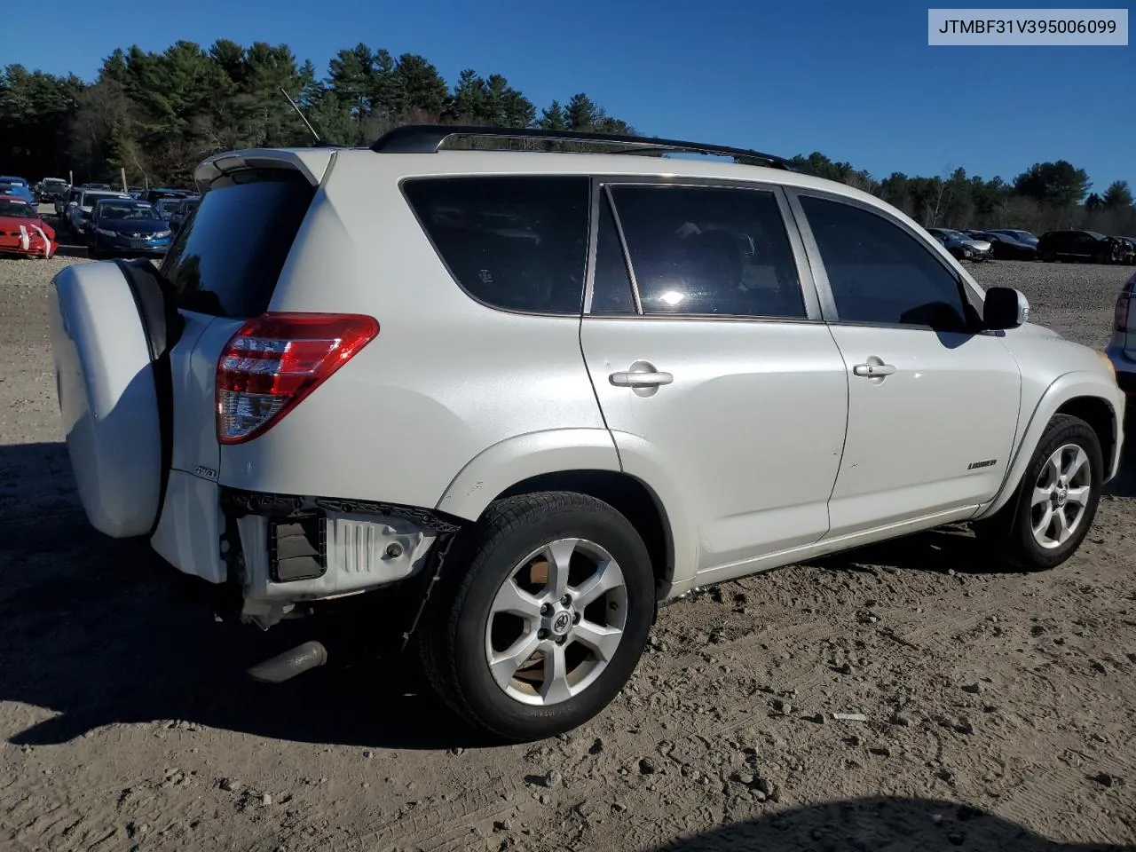 2009 Toyota Rav4 Limited VIN: JTMBF31V395006099 Lot: 80022104