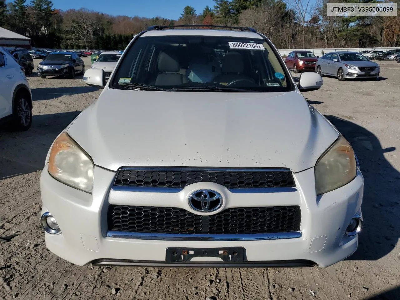 2009 Toyota Rav4 Limited VIN: JTMBF31V395006099 Lot: 80022104