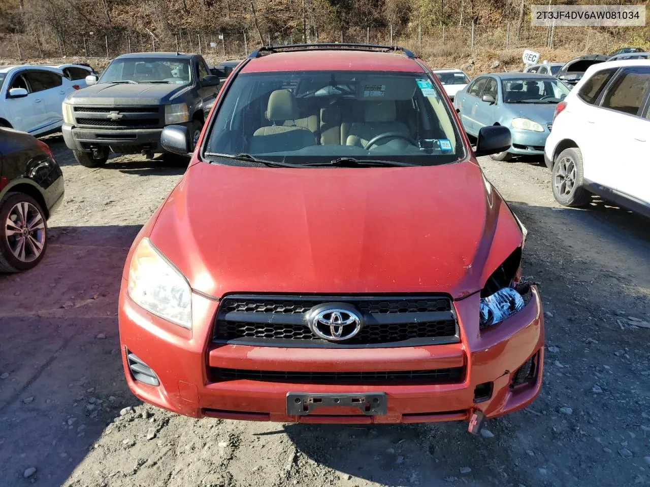 2010 Toyota Rav4 VIN: 2T3JF4DV6AW081034 Lot: 80662254