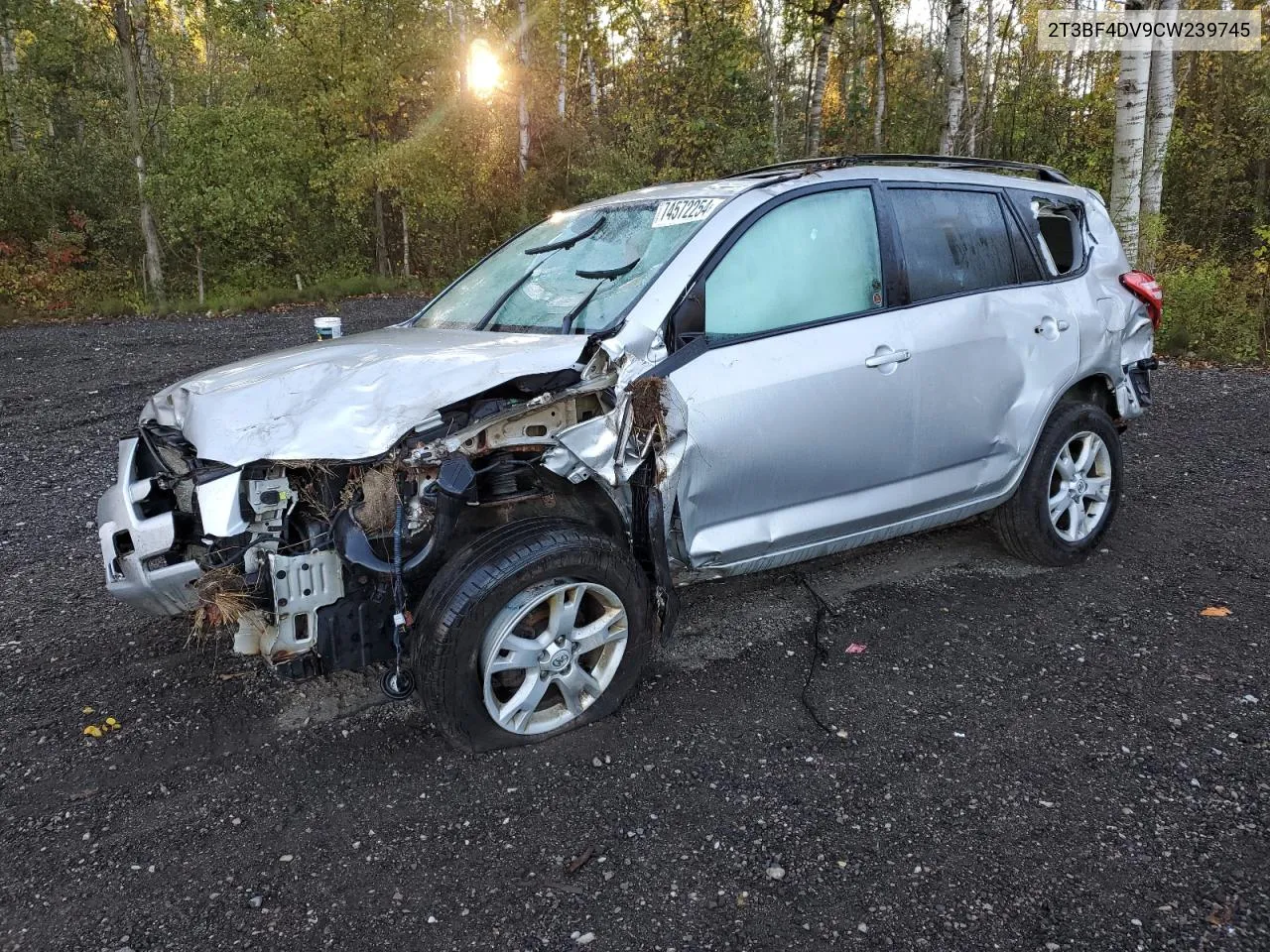 2012 Toyota Rav4 VIN: 2T3BF4DV9CW239745 Lot: 74572254