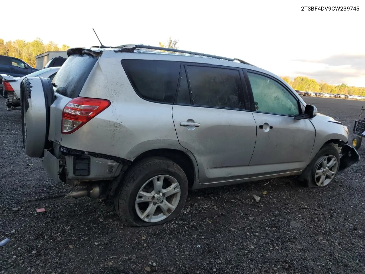 2012 Toyota Rav4 VIN: 2T3BF4DV9CW239745 Lot: 74572254