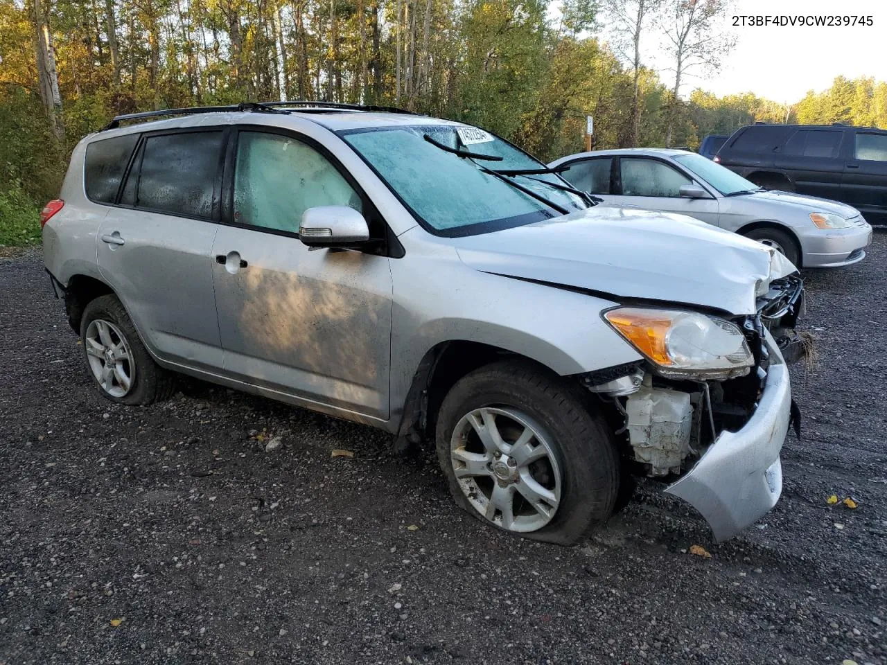 2012 Toyota Rav4 VIN: 2T3BF4DV9CW239745 Lot: 74572254