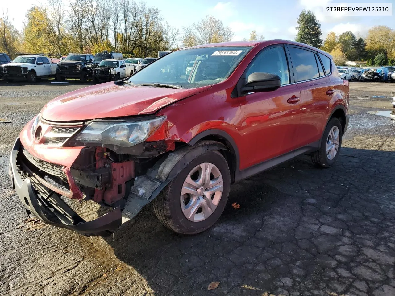 2014 Toyota Rav4 Le VIN: 2T3BFREV9EW125310 Lot: 79652354