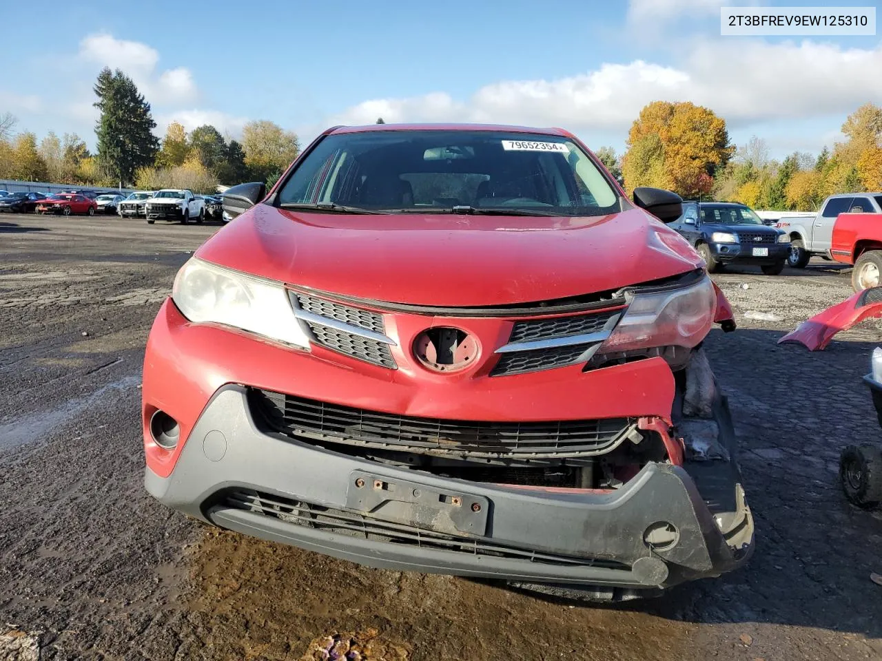 2014 Toyota Rav4 Le VIN: 2T3BFREV9EW125310 Lot: 79652354