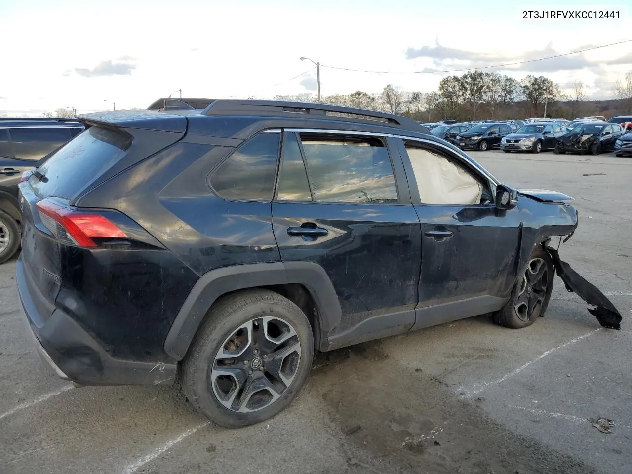 2019 Toyota Rav4 Adventure VIN: 2T3J1RFVXKC012441 Lot: 79397484