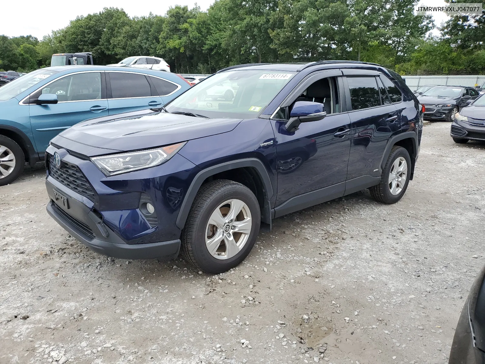 2020 Toyota Rav4 Xle VIN: JTMRWRFVXLJ047077 Lot: 67783114