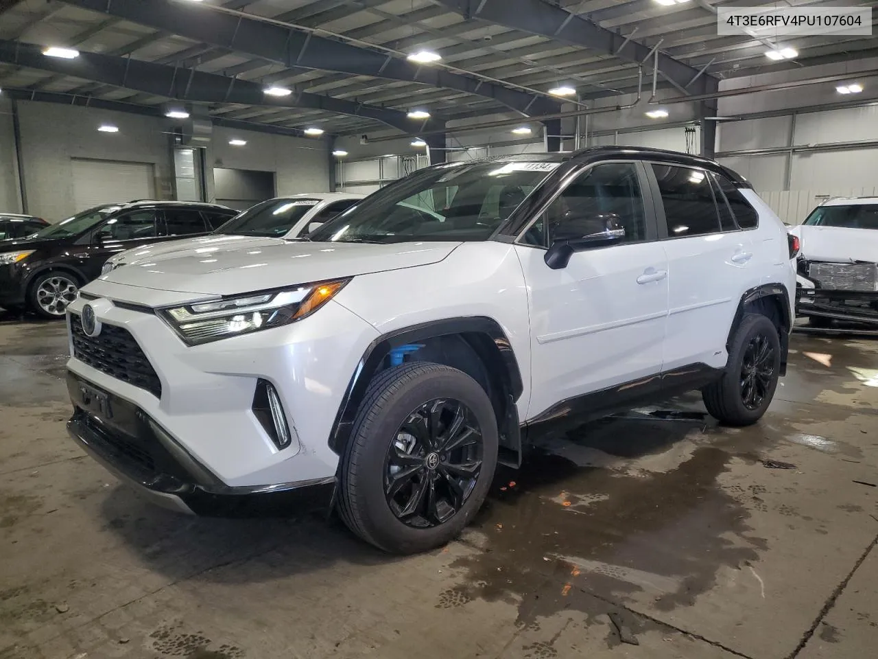 2023 Toyota Rav4 Xse VIN: 4T3E6RFV4PU107604 Lot: 79741134