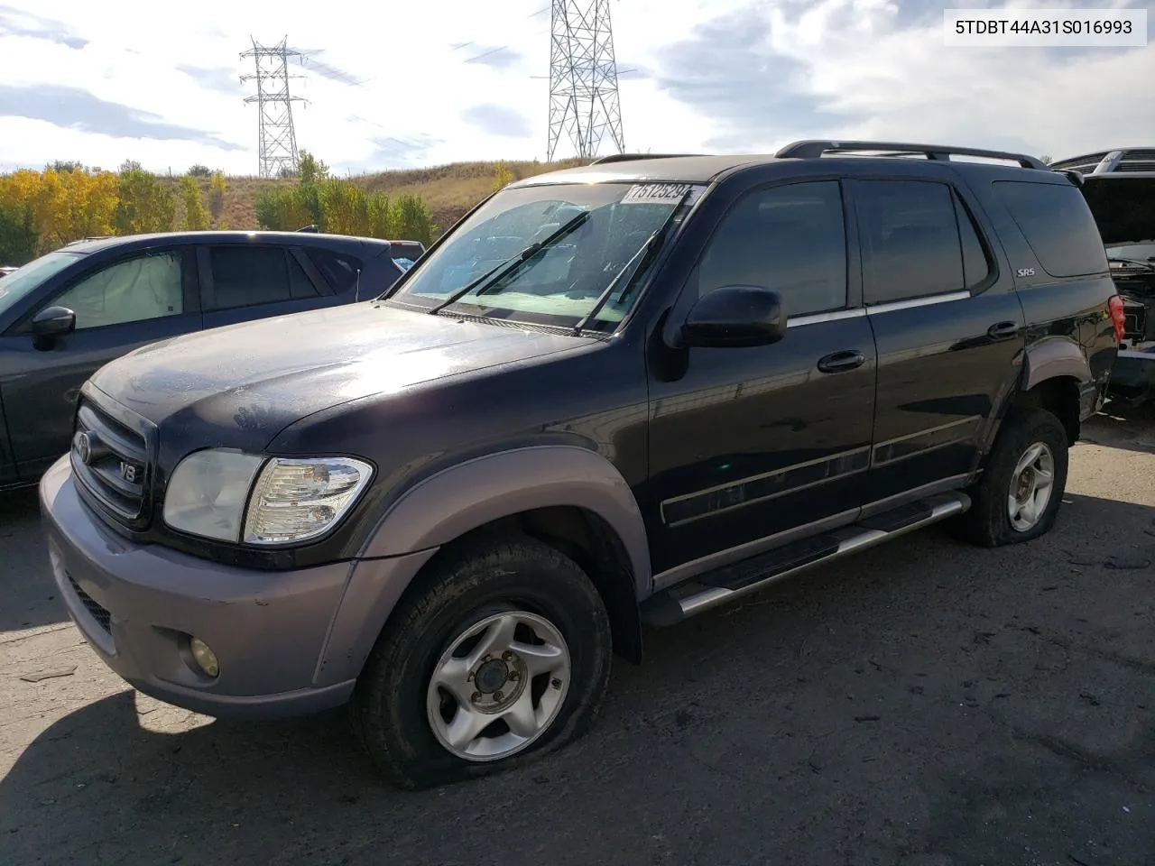 2001 Toyota Sequoia Sr5 VIN: 5TDBT44A31S016993 Lot: 75125294