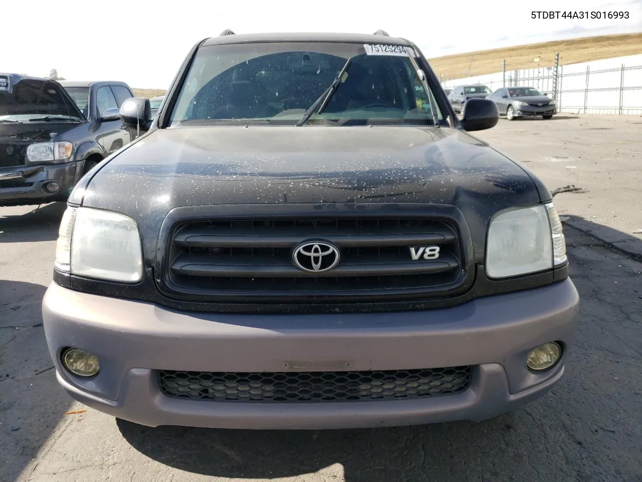 2001 Toyota Sequoia Sr5 VIN: 5TDBT44A31S016993 Lot: 75125294