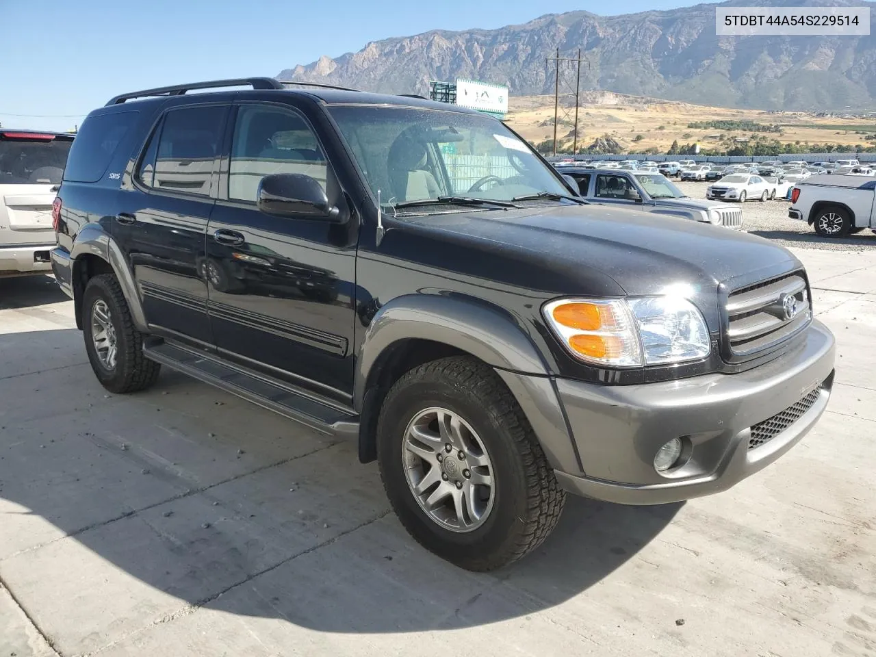 2004 Toyota Sequoia Sr5 VIN: 5TDBT44A54S229514 Lot: 69093164