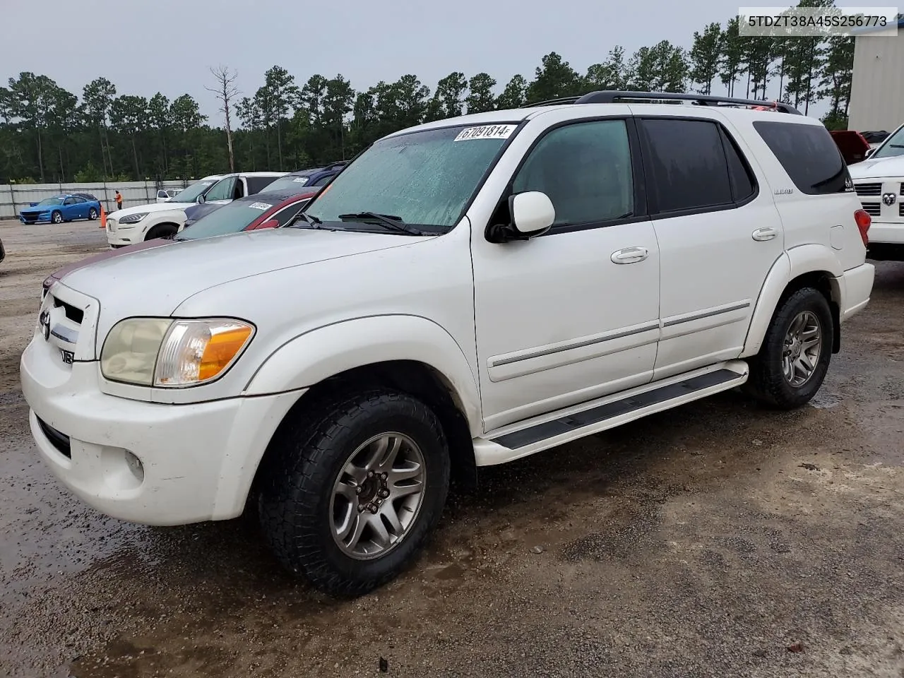 2005 Toyota Sequoia Limited VIN: 5TDZT38A45S256773 Lot: 67091814