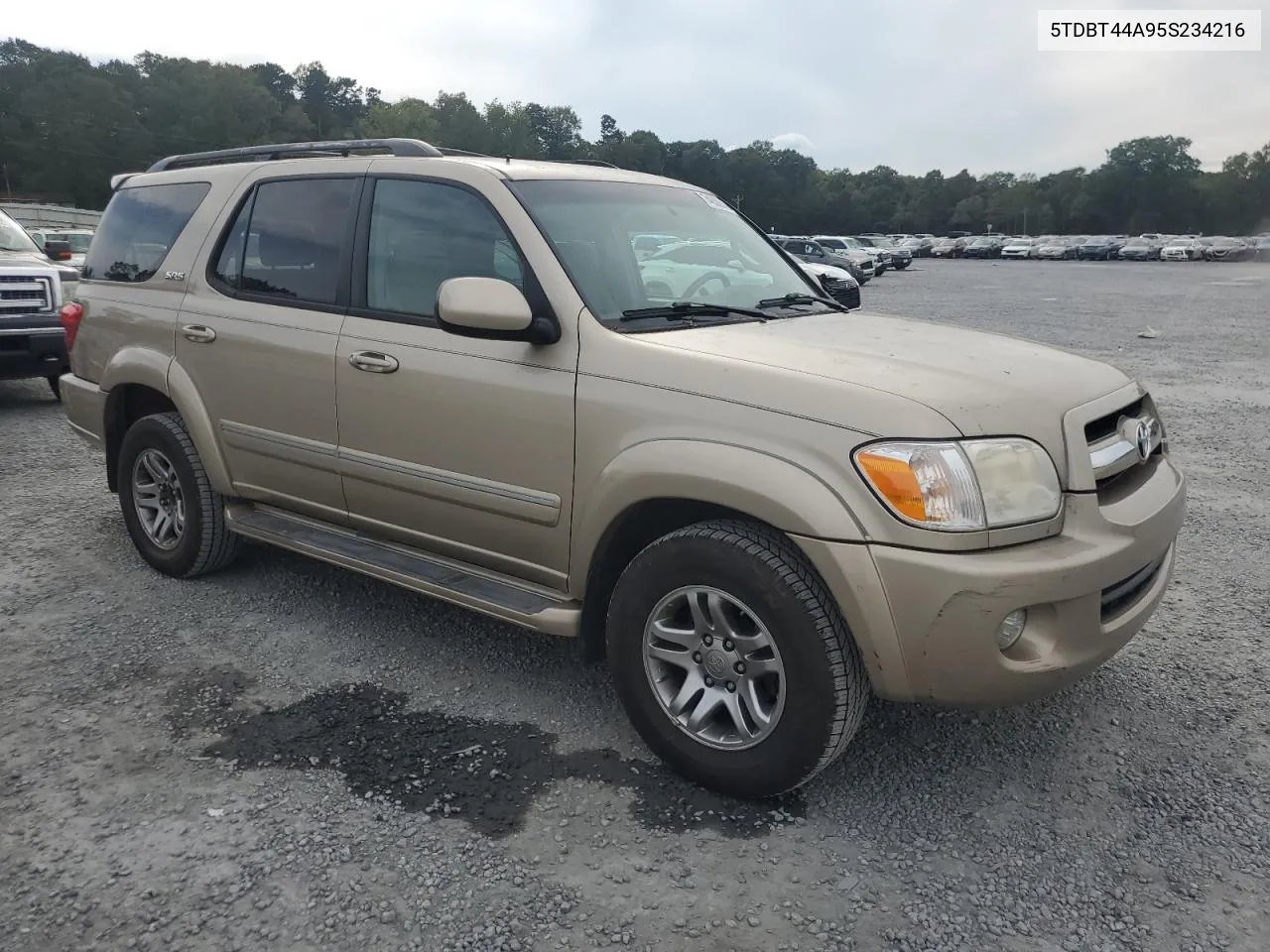 2005 Toyota Sequoia Sr5 VIN: 5TDBT44A95S234216 Lot: 74656614