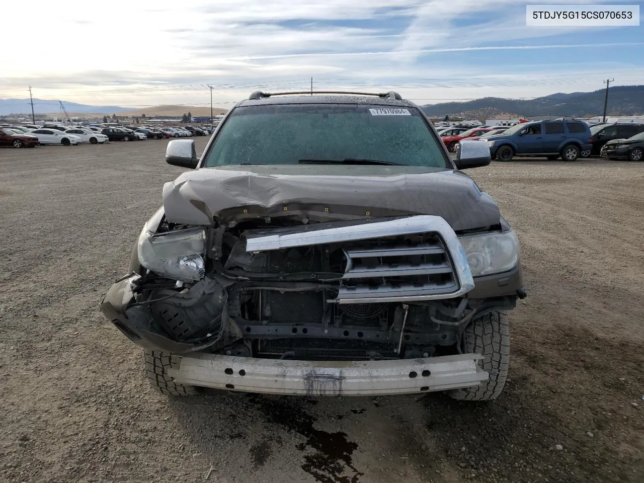 2012 Toyota Sequoia Limited VIN: 5TDJY5G15CS070653 Lot: 77970984