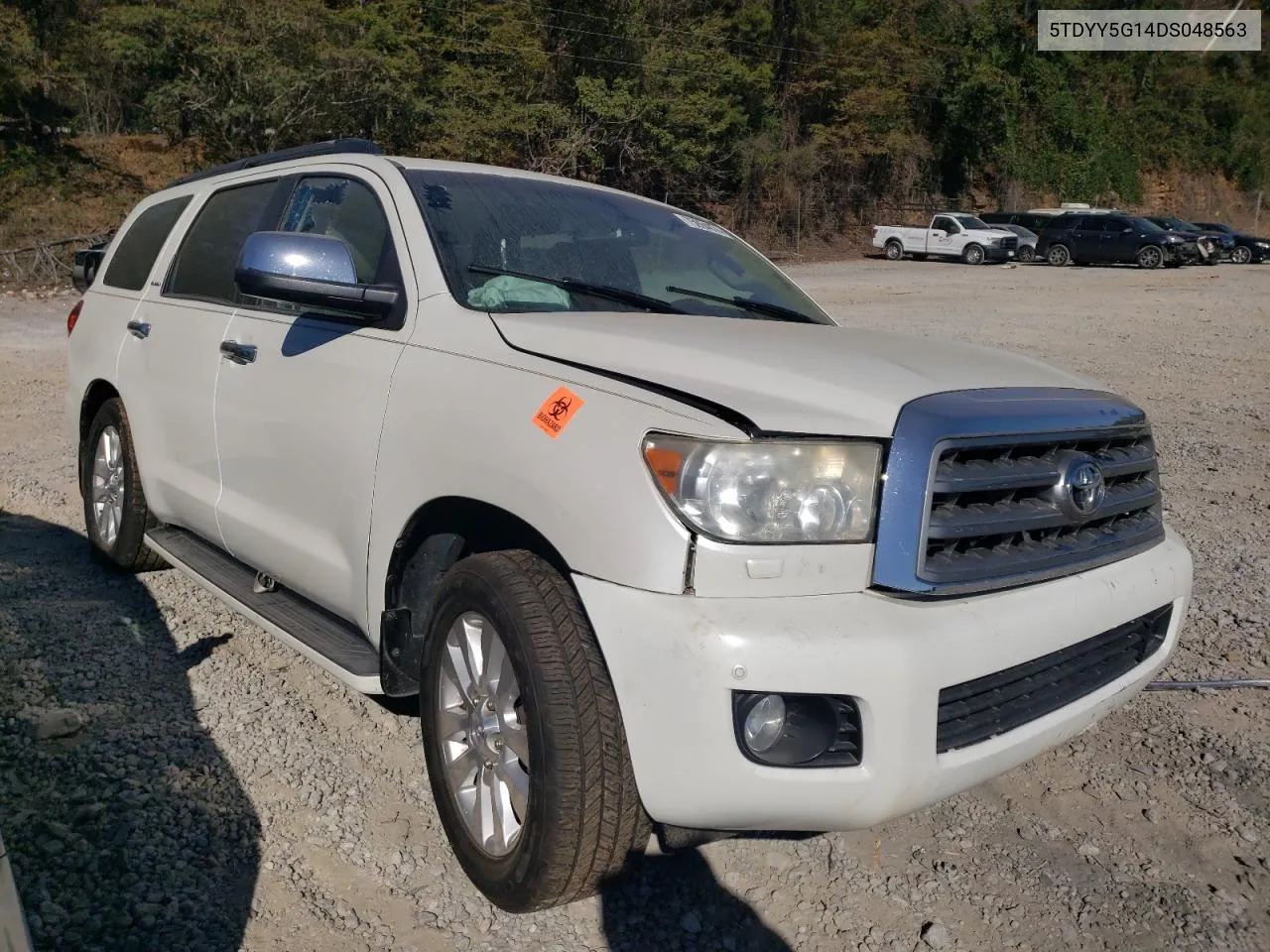 2013 Toyota Sequoia Platinum VIN: 5TDYY5G14DS048563 Lot: 75964874