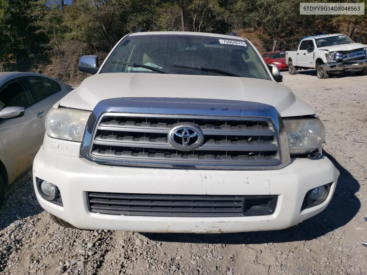 2013 Toyota Sequoia Platinum VIN: 5TDYY5G14DS048563 Lot: 75964874