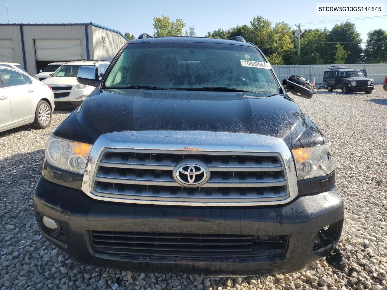 2016 Toyota Sequoia Platinum VIN: 5TDDW5G13GS144645 Lot: 70808944