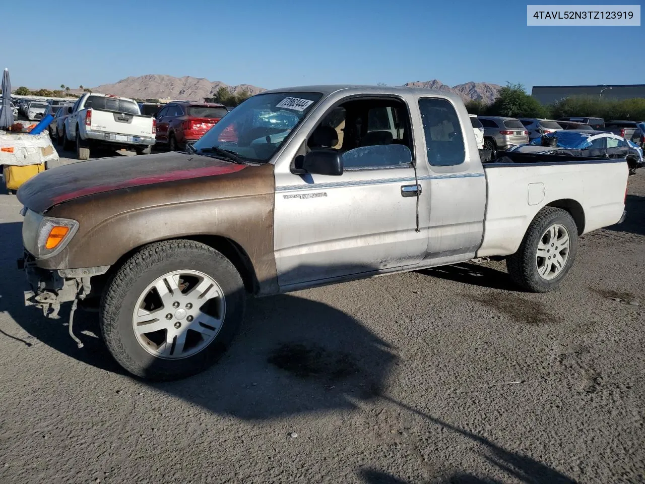 1996 Toyota Tacoma Xtracab VIN: 4TAVL52N3TZ123919 Lot: 72862444