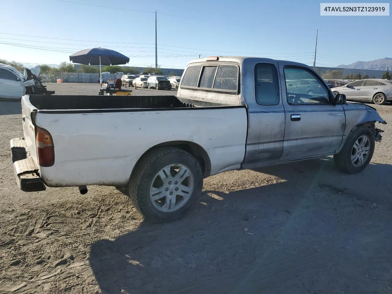 1996 Toyota Tacoma Xtracab VIN: 4TAVL52N3TZ123919 Lot: 72862444