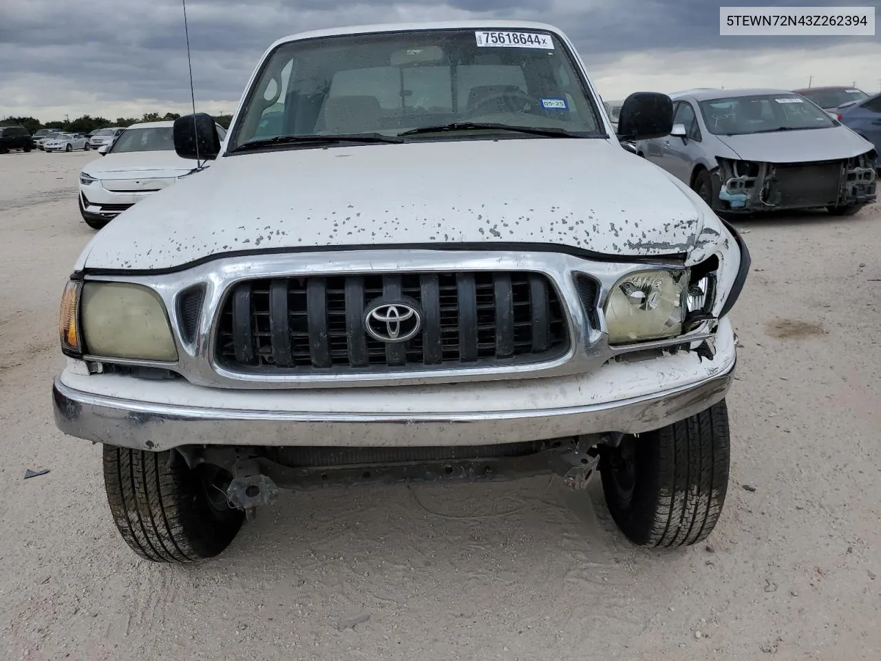 2003 Toyota Tacoma Xtracab VIN: 5TEWN72N43Z262394 Lot: 75618644