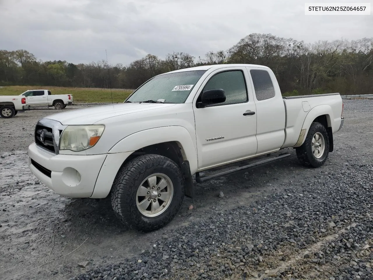 2005 Toyota Tacoma Prerunner Access Cab VIN: 5TETU62N25Z064657 Lot: 47955994