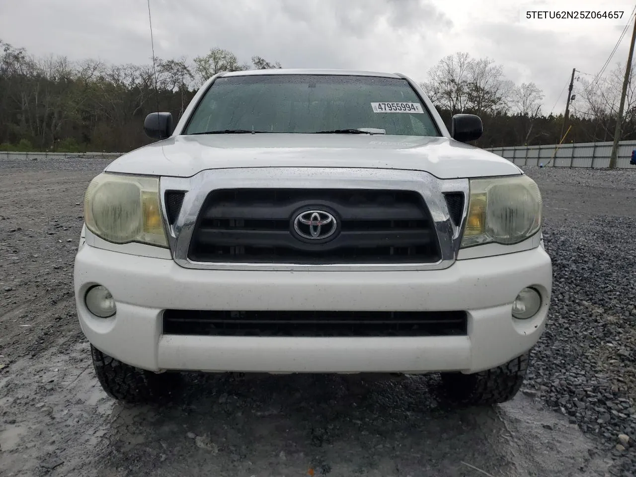 2005 Toyota Tacoma Prerunner Access Cab VIN: 5TETU62N25Z064657 Lot: 47955994