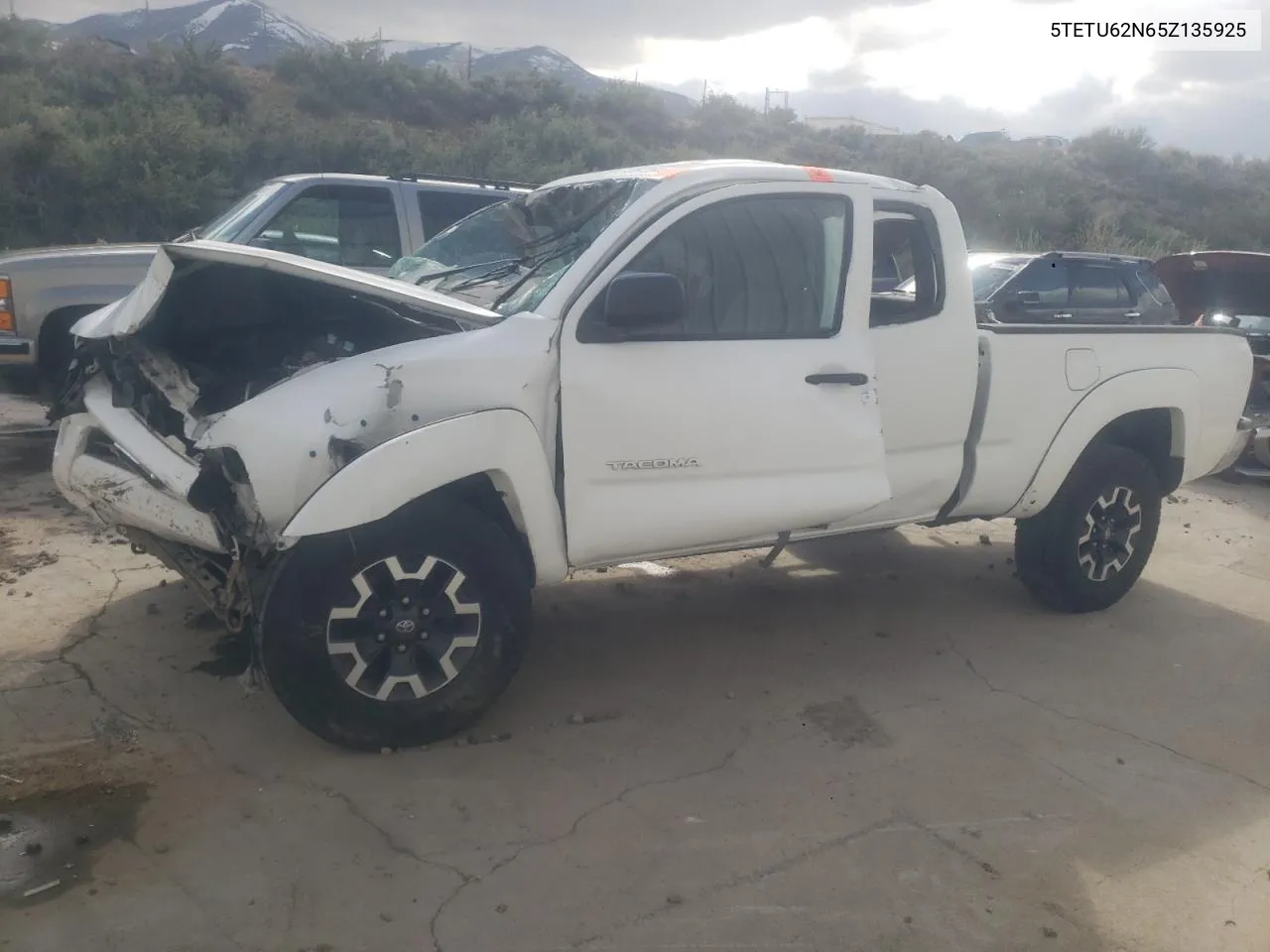 2005 Toyota Tacoma Prerunner Access Cab VIN: 5TETU62N65Z135925 Lot: 51067264