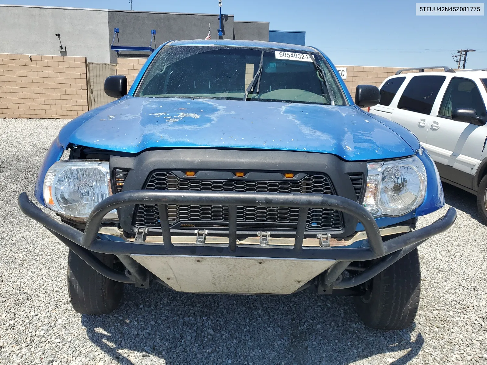 2005 Toyota Tacoma Access Cab VIN: 5TEUU42N45Z081775 Lot: 60540324