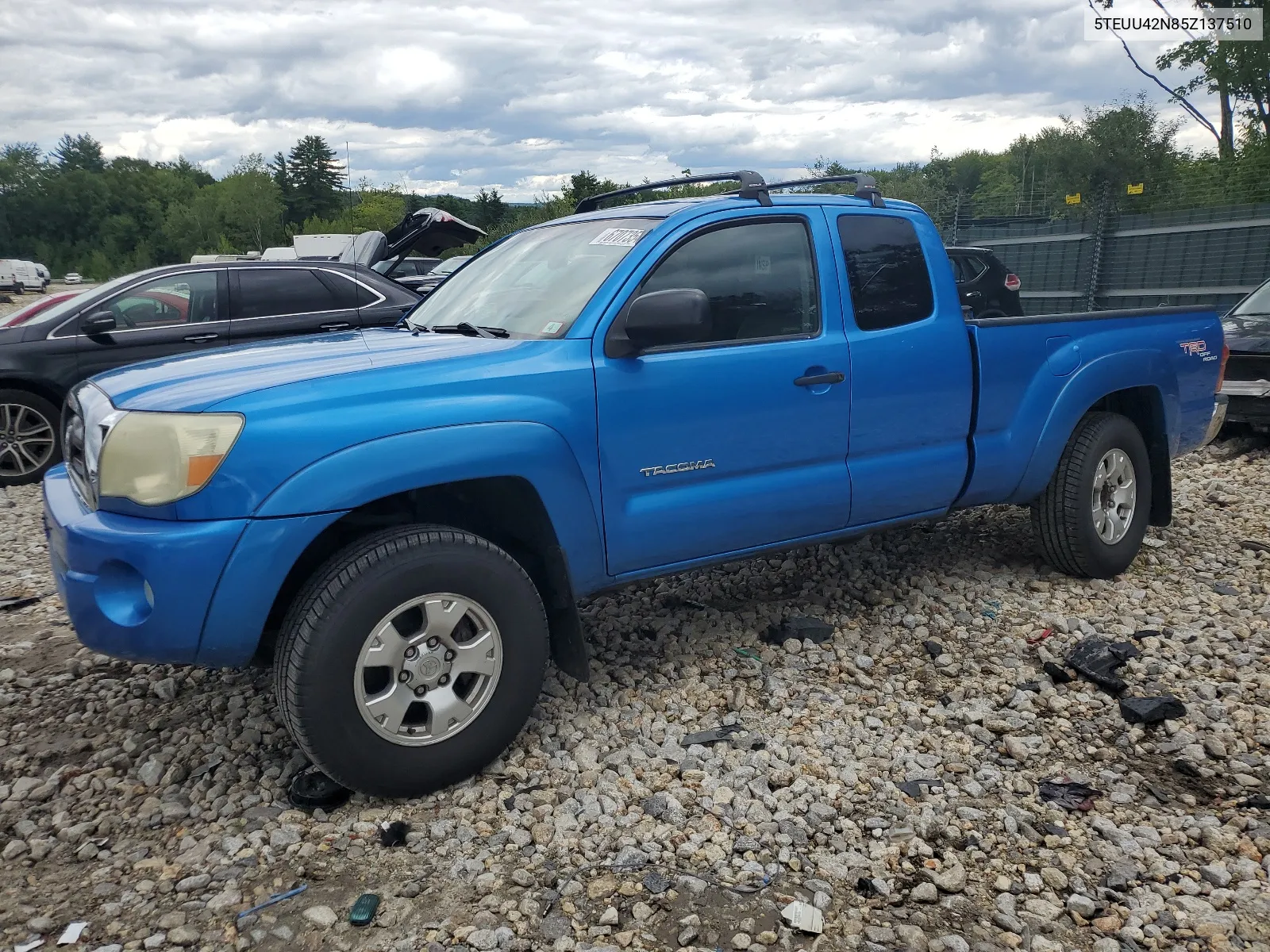 2005 Toyota Tacoma Access Cab VIN: 5TEUU42N85Z137510 Lot: 67073544