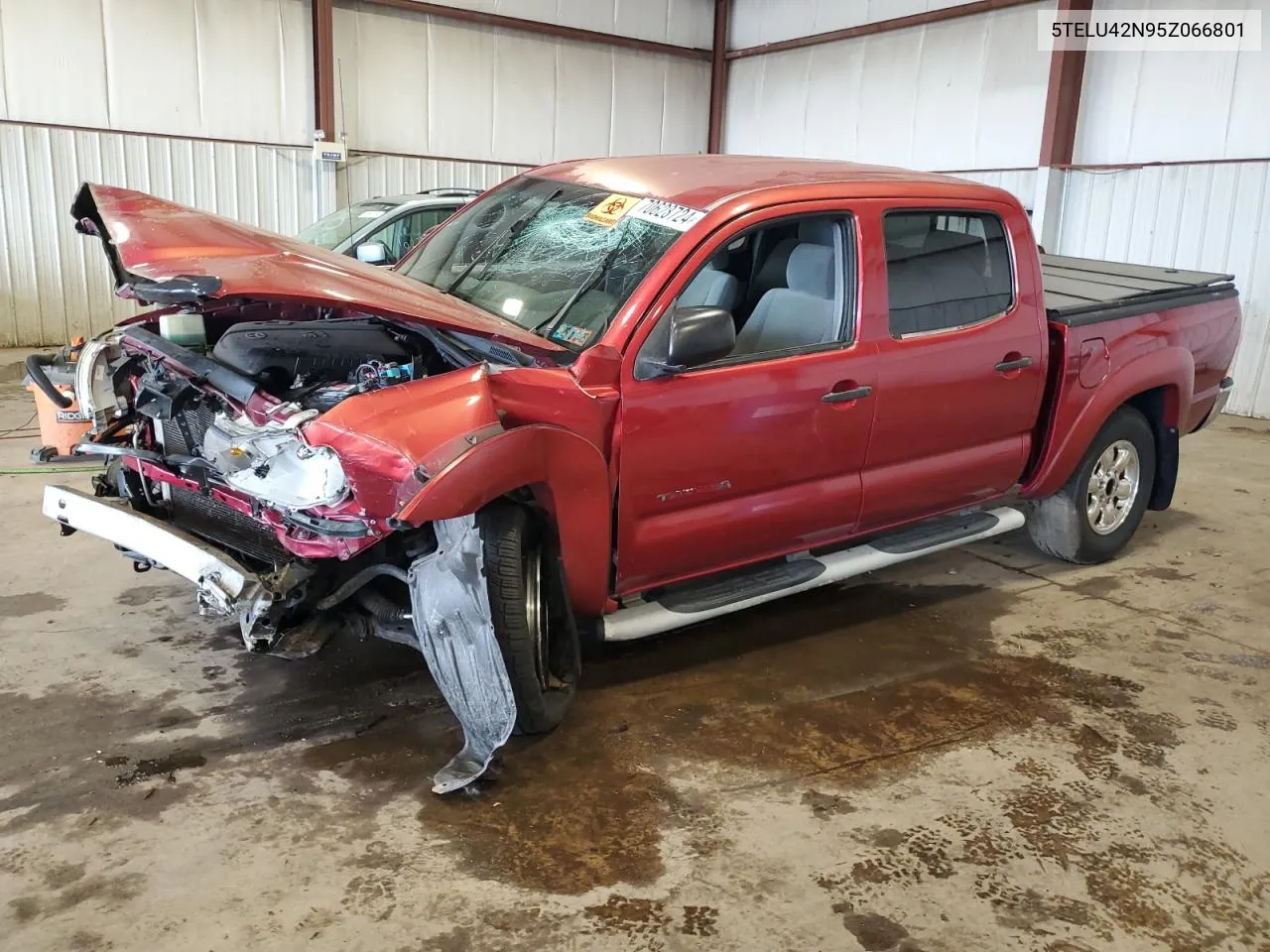 2005 Toyota Tacoma Double Cab VIN: 5TELU42N95Z066801 Lot: 70628724