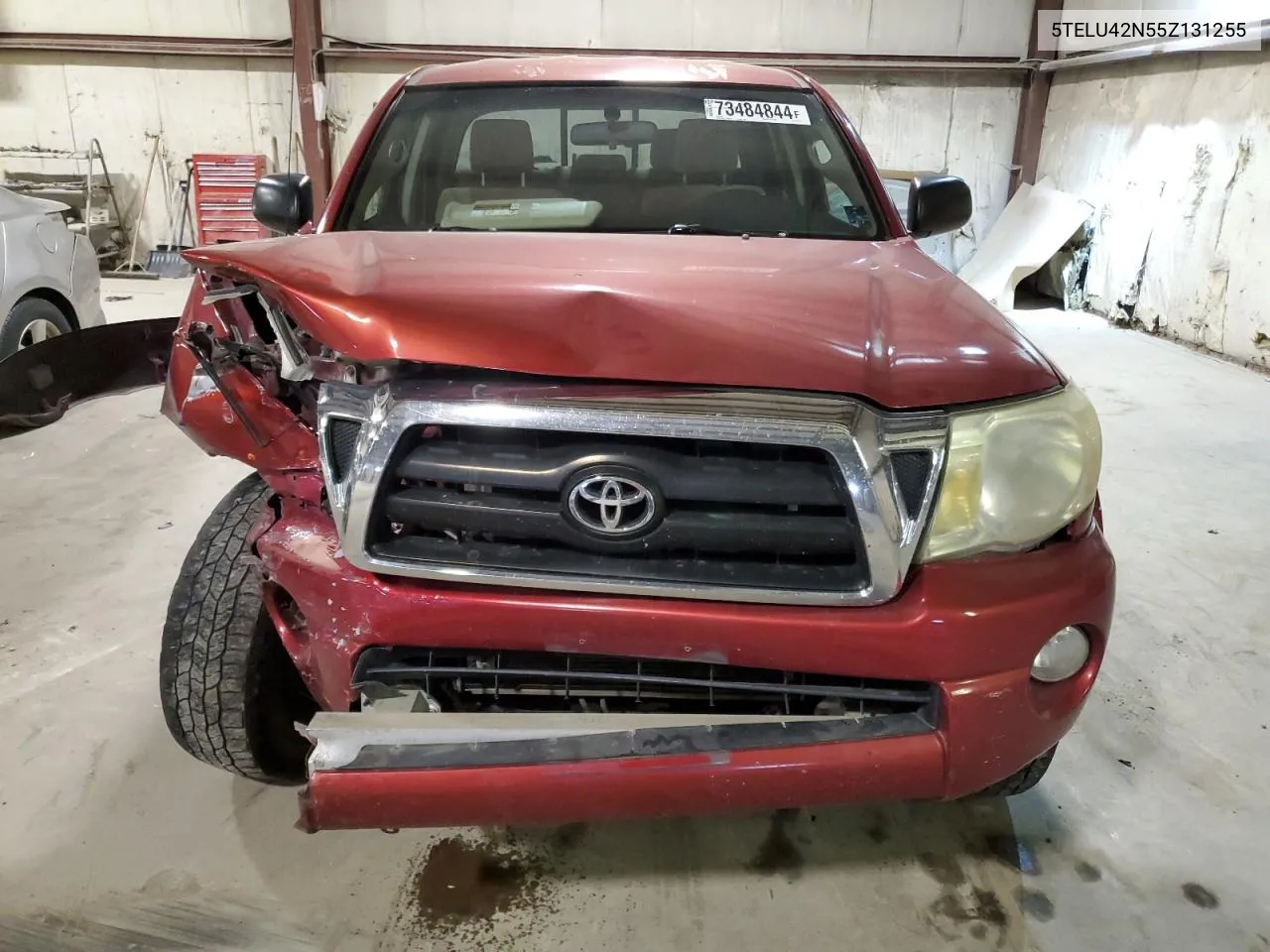 2005 Toyota Tacoma Double Cab VIN: 5TELU42N55Z131255 Lot: 73484844