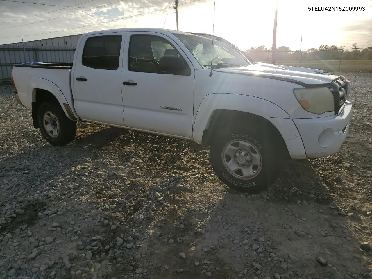 2005 Toyota Tacoma Double Cab VIN: 5TELU42N15Z009993 Lot: 79390384