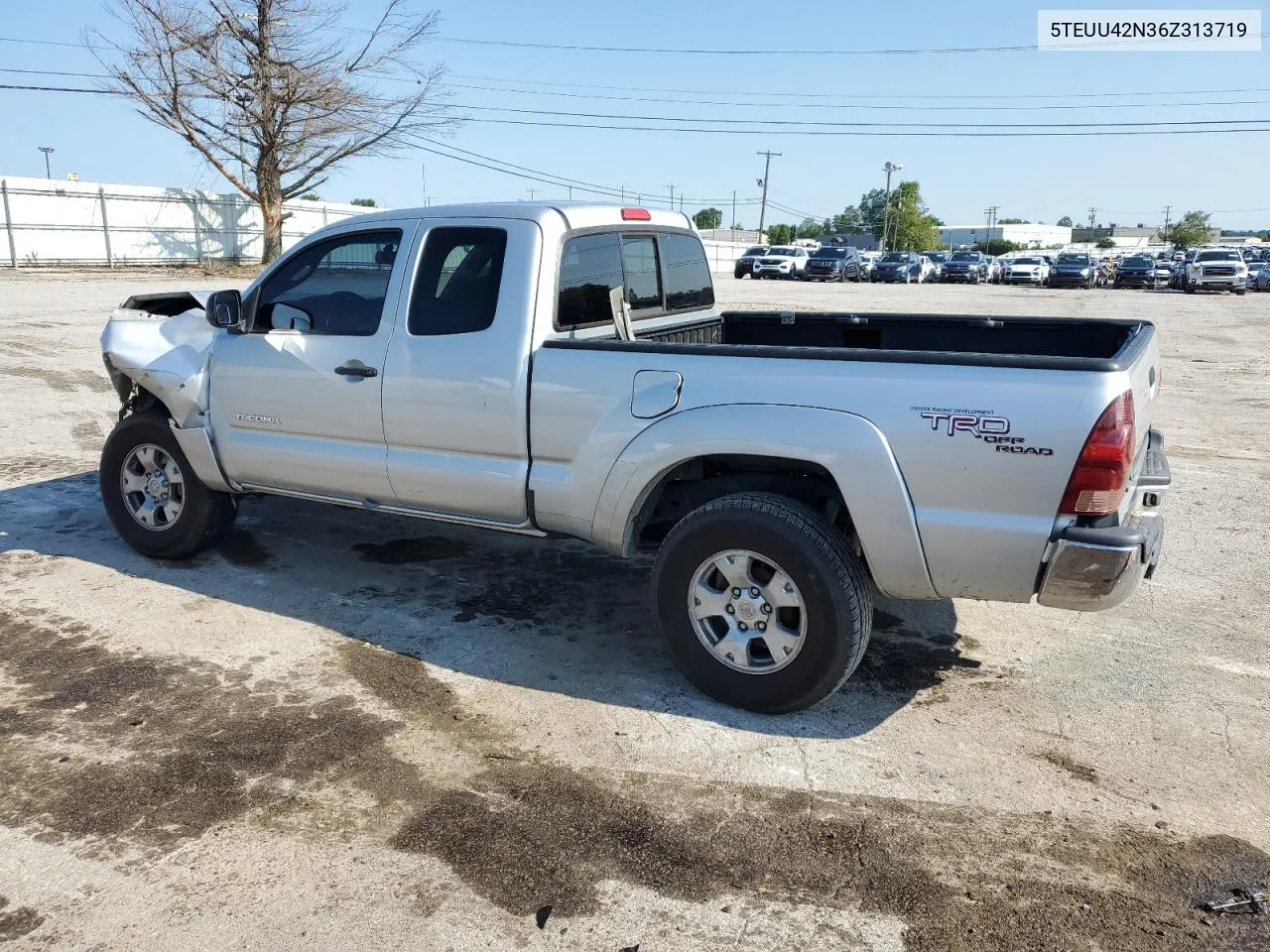 2006 Toyota Tacoma Access Cab VIN: 5TEUU42N36Z313719 Lot: 66581904