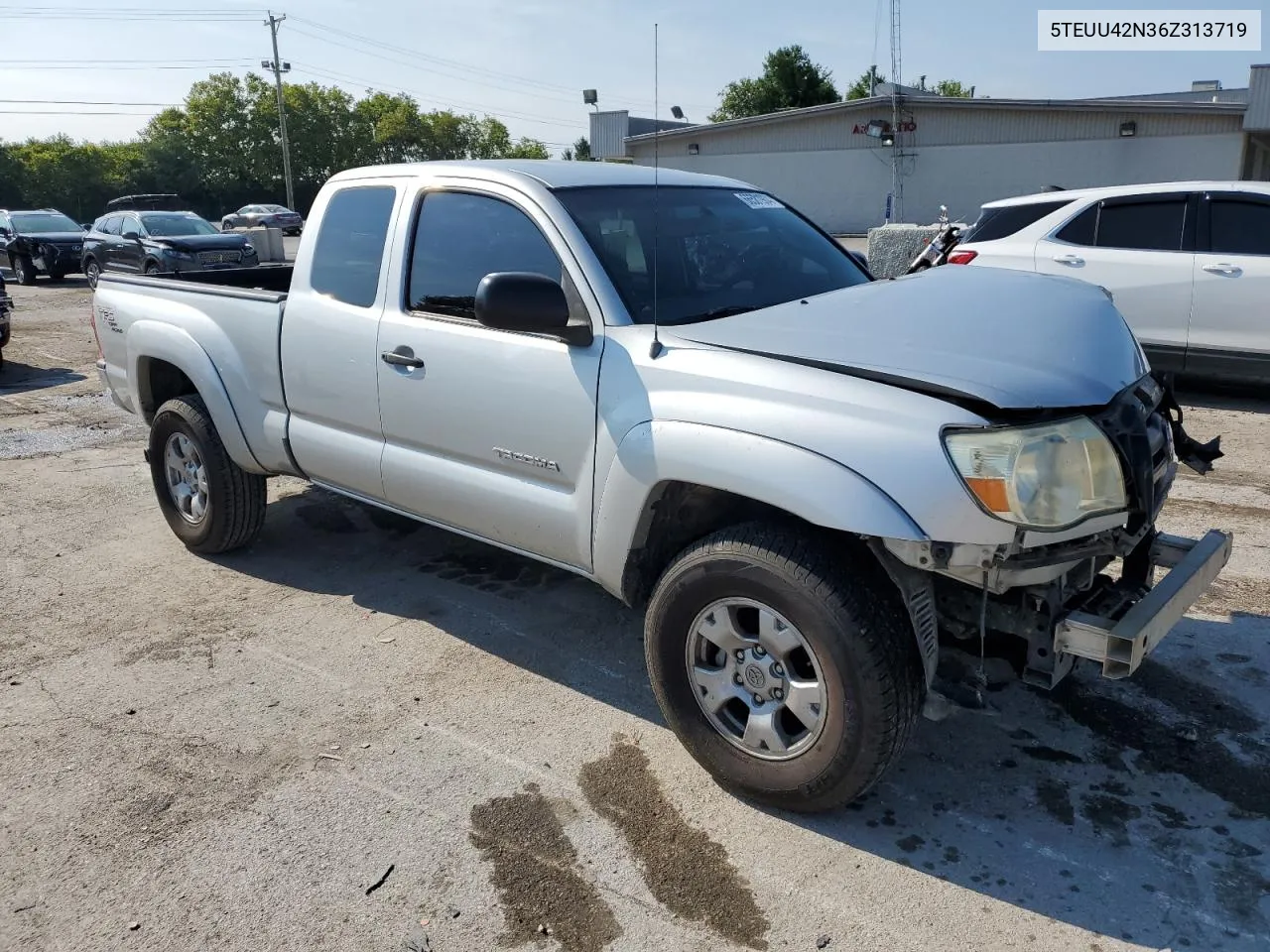 2006 Toyota Tacoma Access Cab VIN: 5TEUU42N36Z313719 Lot: 66581904