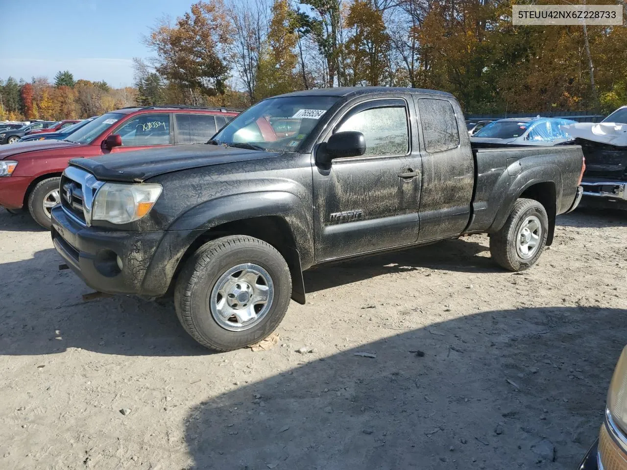 2006 Toyota Tacoma Access Cab VIN: 5TEUU42NX6Z228733 Lot: 76595264