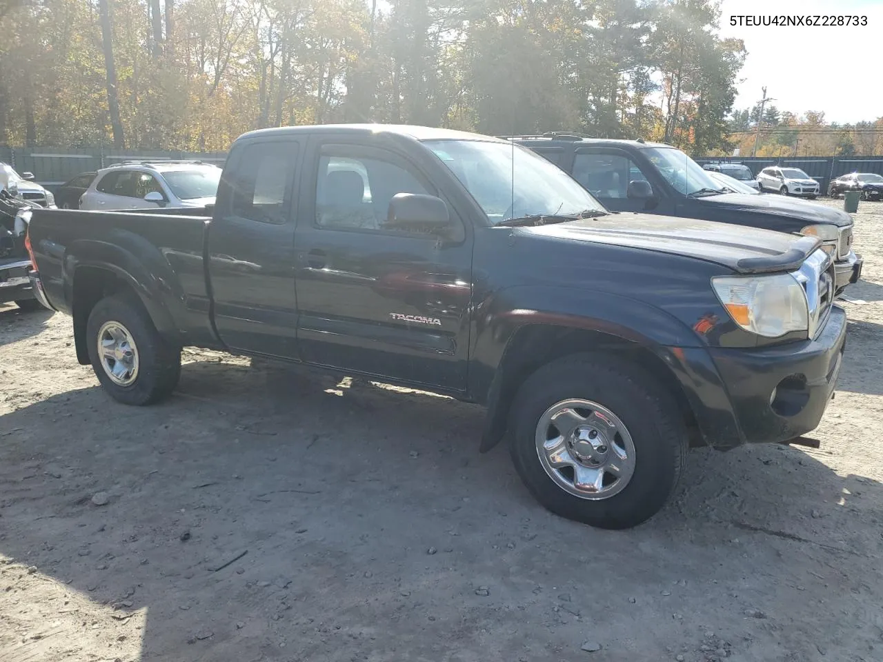 2006 Toyota Tacoma Access Cab VIN: 5TEUU42NX6Z228733 Lot: 76595264