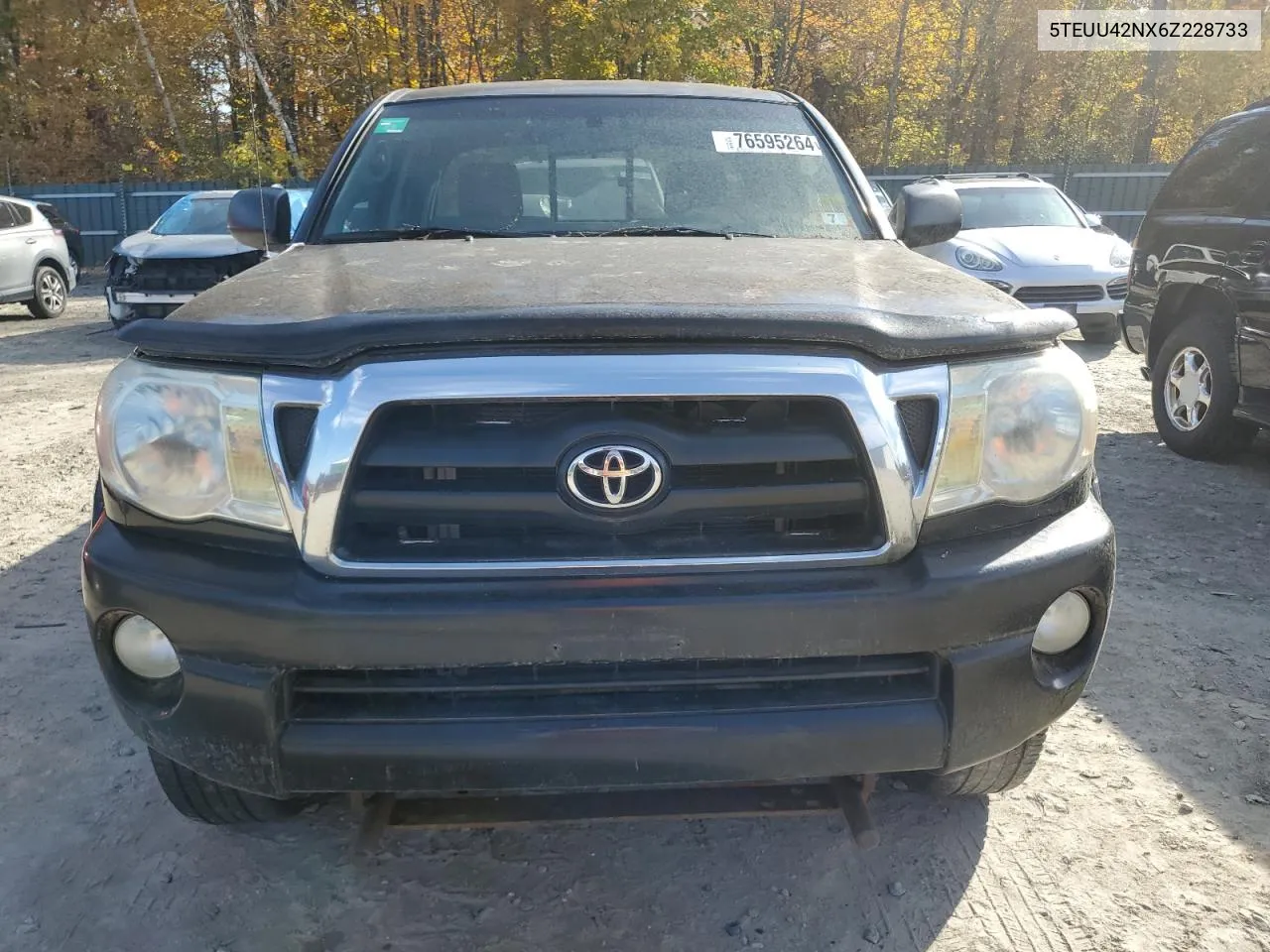 2006 Toyota Tacoma Access Cab VIN: 5TEUU42NX6Z228733 Lot: 76595264