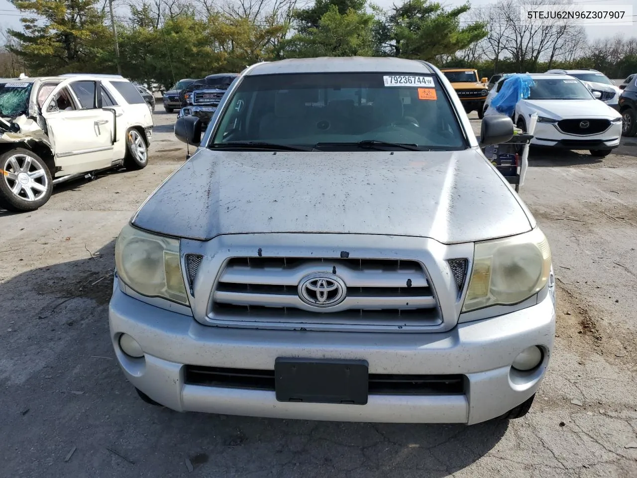 2006 Toyota Tacoma Double Cab Prerunner VIN: 5TEJU62N96Z307907 Lot: 79236744