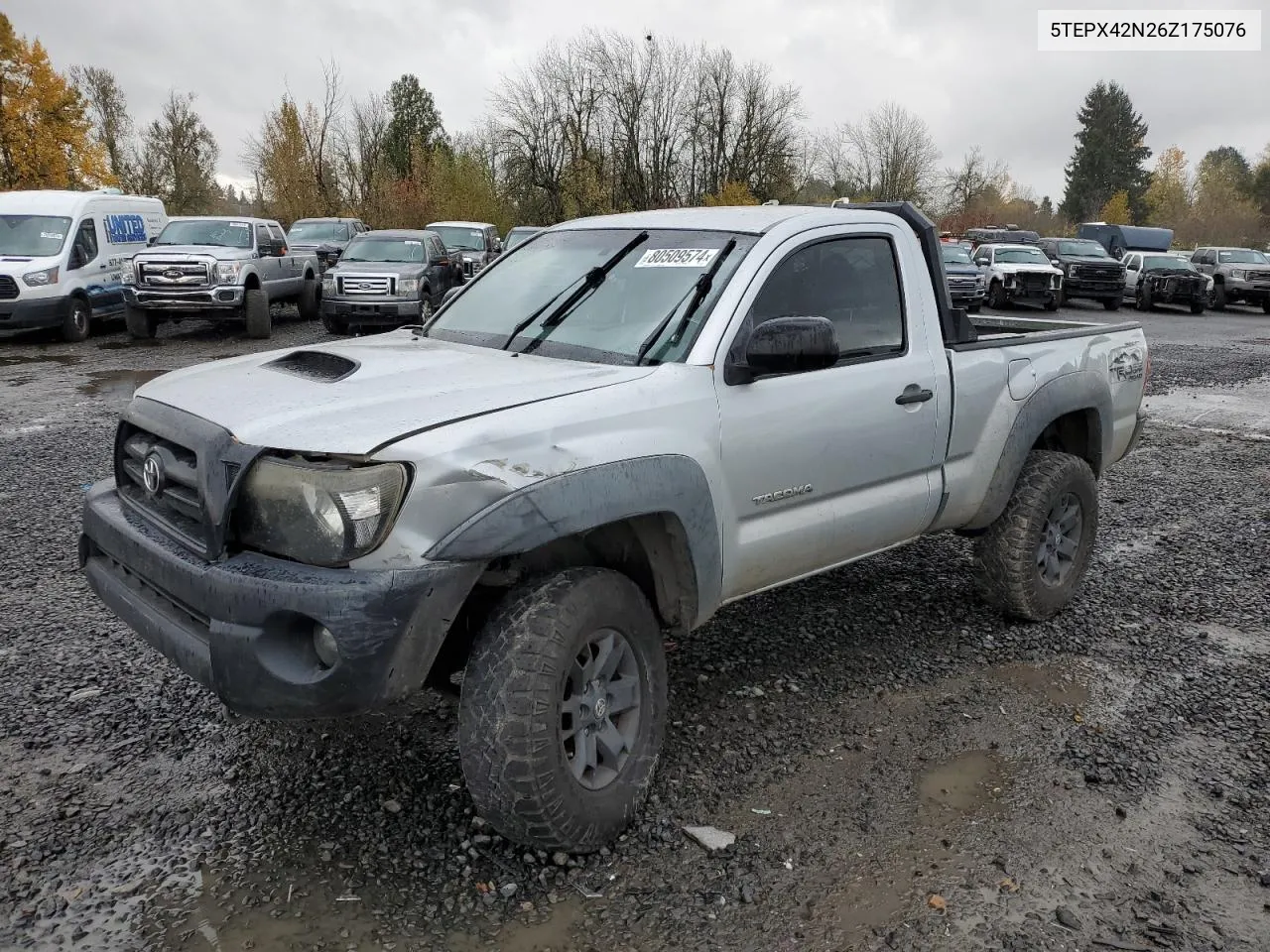 2006 Toyota Tacoma VIN: 5TEPX42N26Z175076 Lot: 80509574