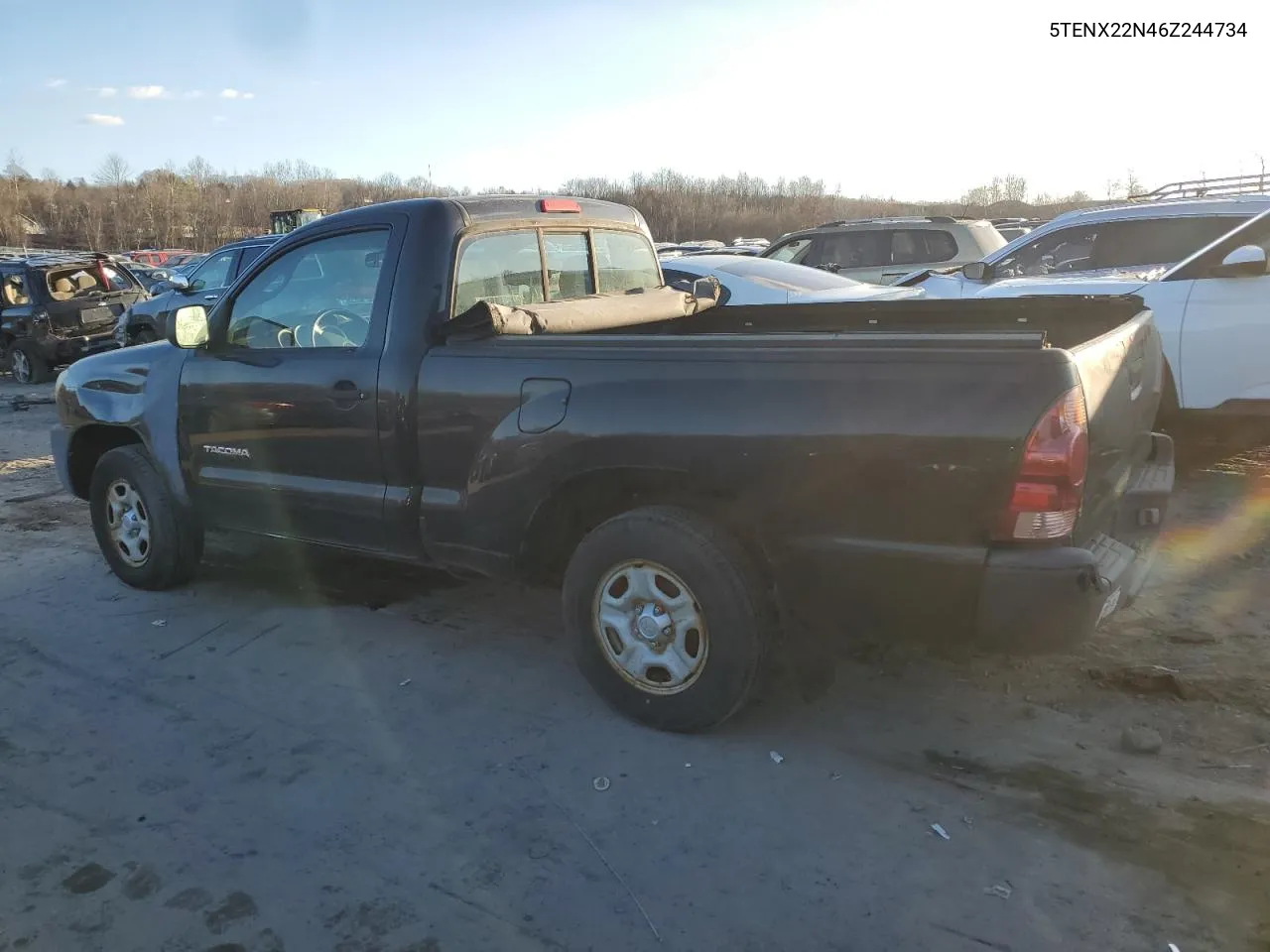 2006 Toyota Tacoma VIN: 5TENX22N46Z244734 Lot: 80693894