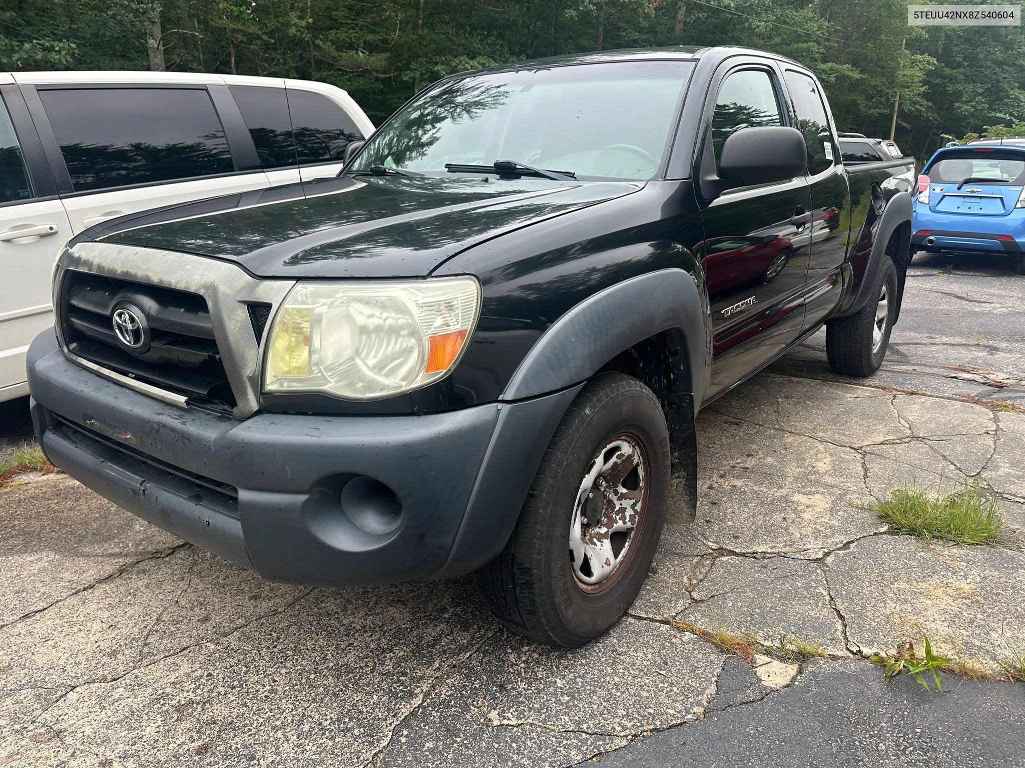 5TEUU42NX8Z540604 2008 Toyota Tacoma Access Cab