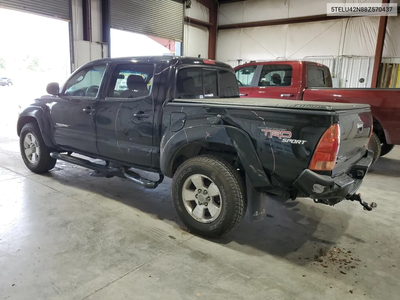 2008 Toyota Tacoma Double Cab VIN: 5TELU42N88Z570437 Lot: 69774464