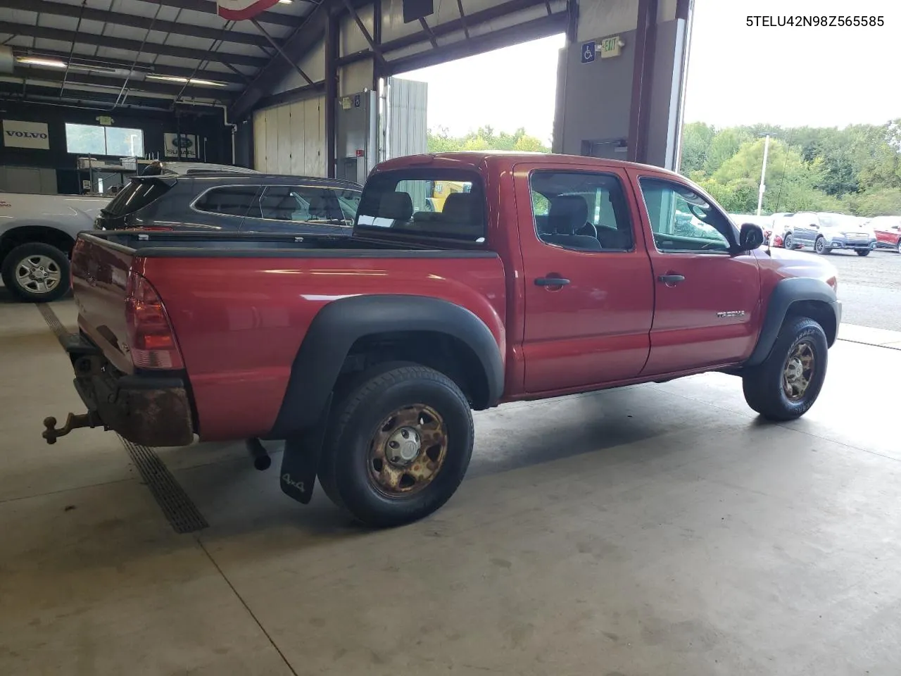 2008 Toyota Tacoma Double Cab VIN: 5TELU42N98Z565585 Lot: 70455704