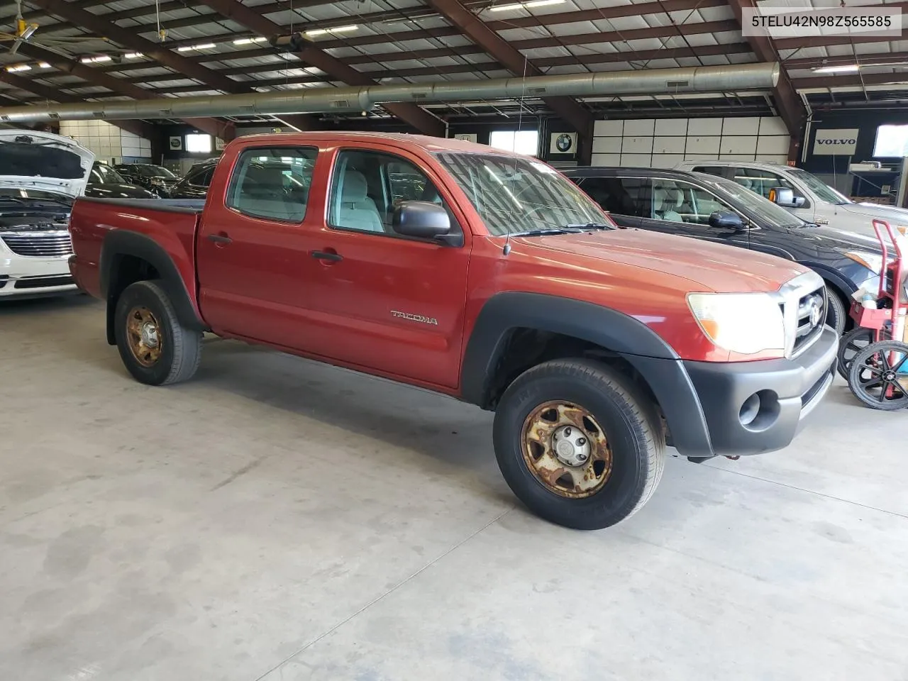 2008 Toyota Tacoma Double Cab VIN: 5TELU42N98Z565585 Lot: 70455704