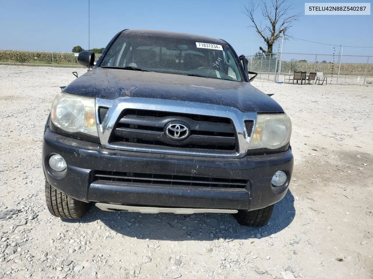 5TELU42N88Z540287 2008 Toyota Tacoma Double Cab