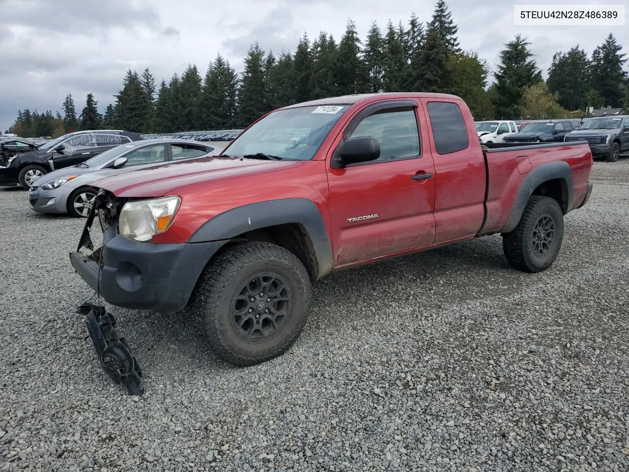 5TEUU42N28Z486389 2008 Toyota Tacoma Access Cab